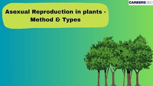 Asexual Reproduction in plants - Method & Types
